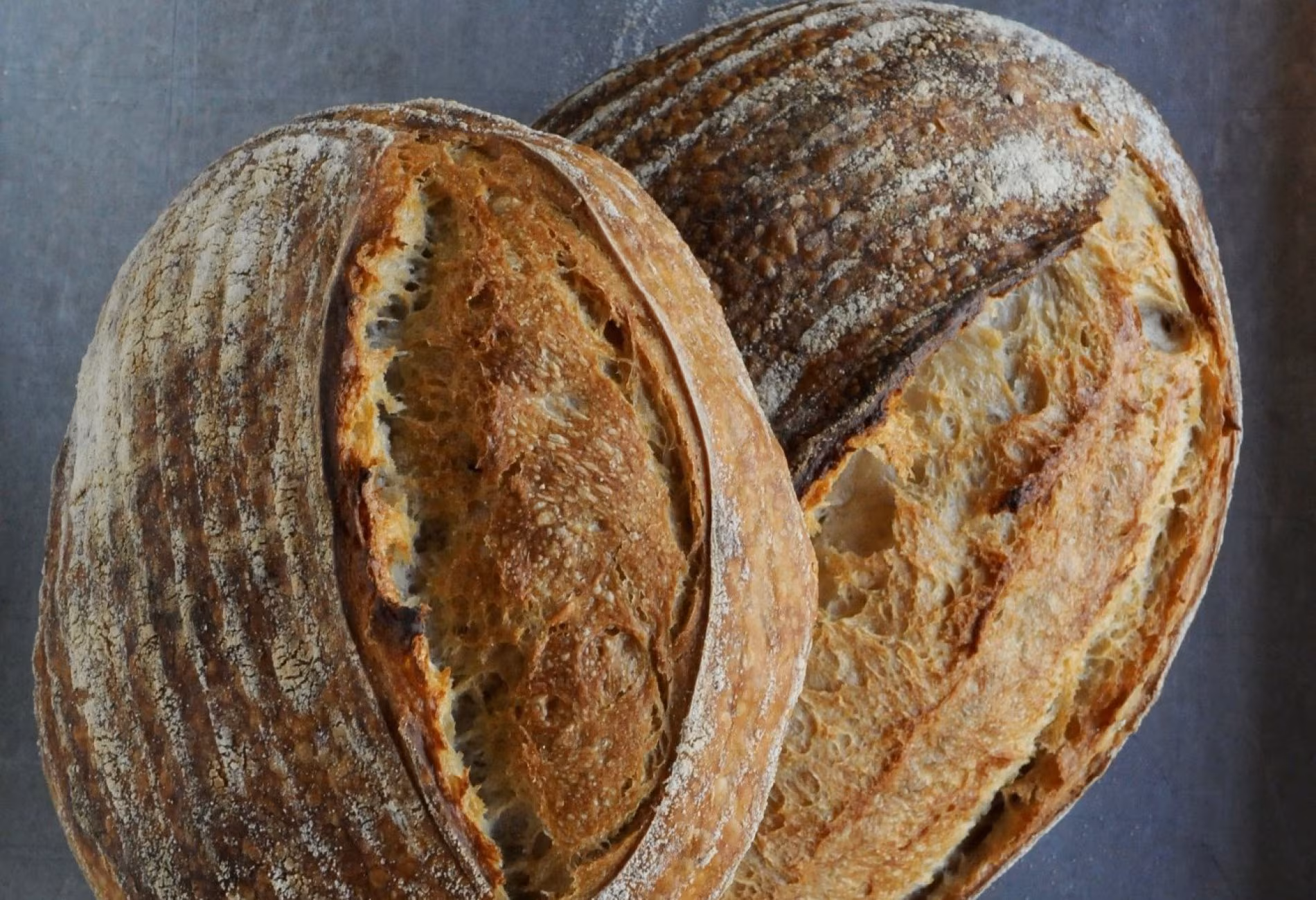 Two round loaves of freshly baked sourdough bread