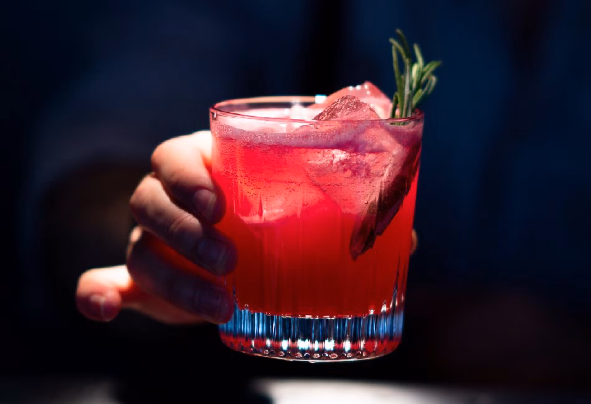 Hand holding a deep red cocktail garnished with rosemary