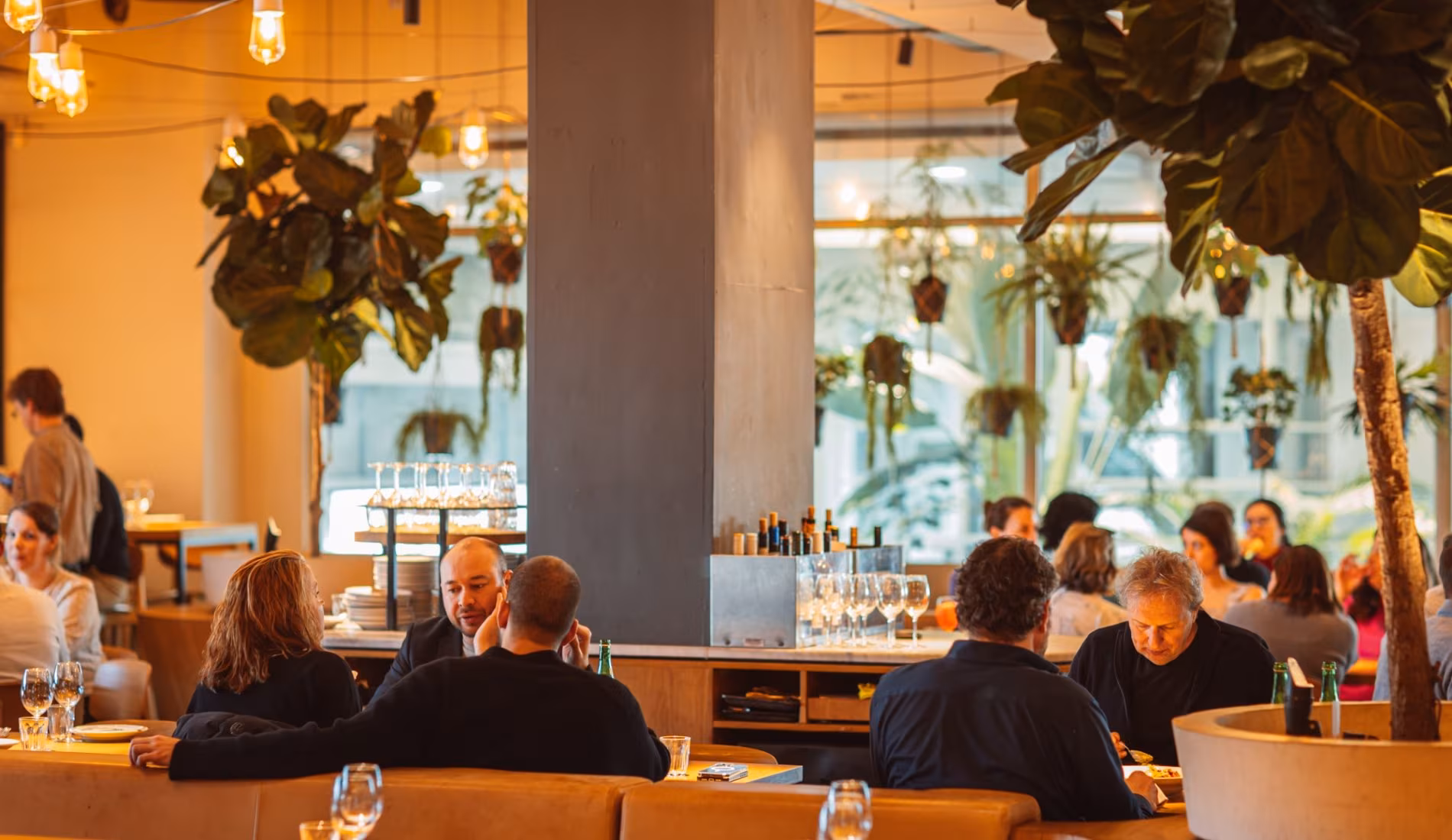 Guests dining in the split-level room with hanging plants and pendant lights