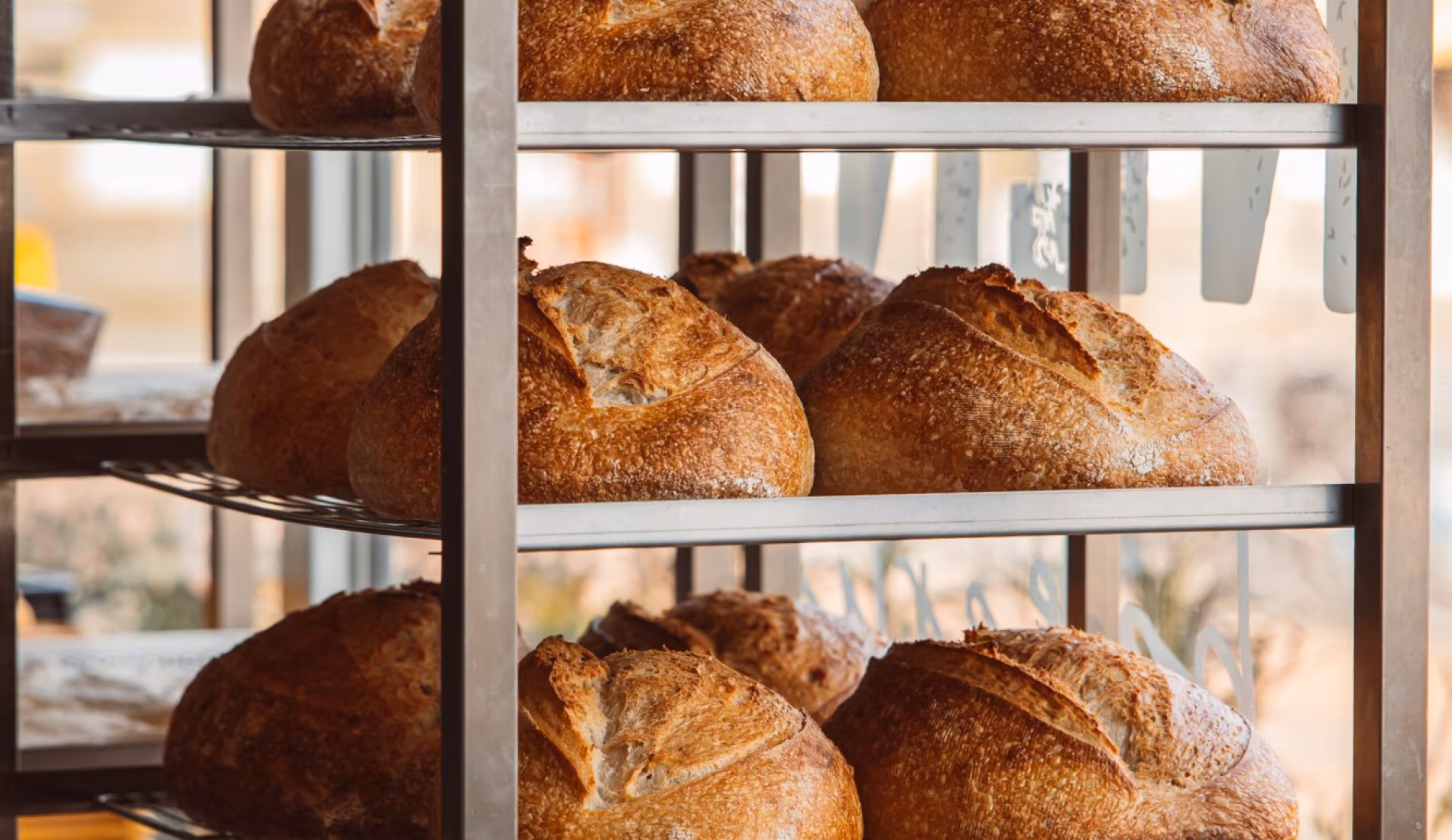 Loaves of freshly baked bread cooling on a rack