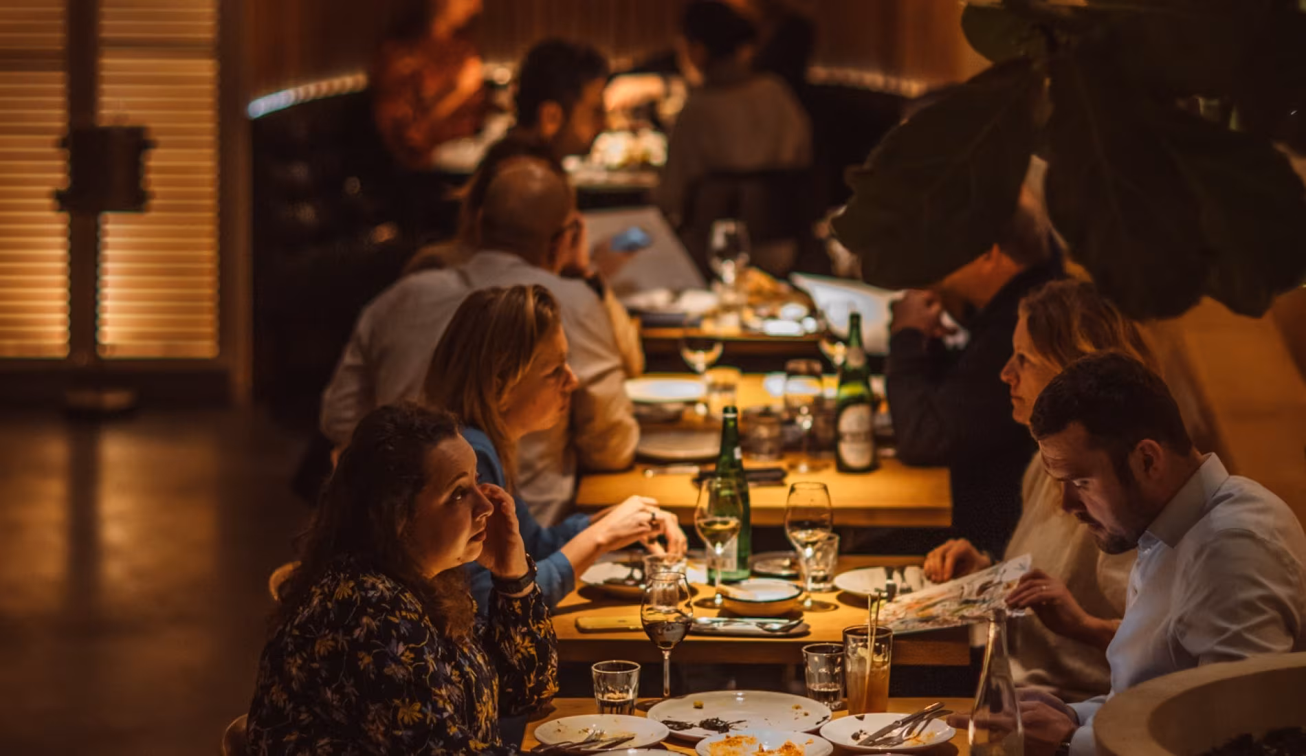 Guests seated at long tables enjoying shared dishes in the warm-lit dining room